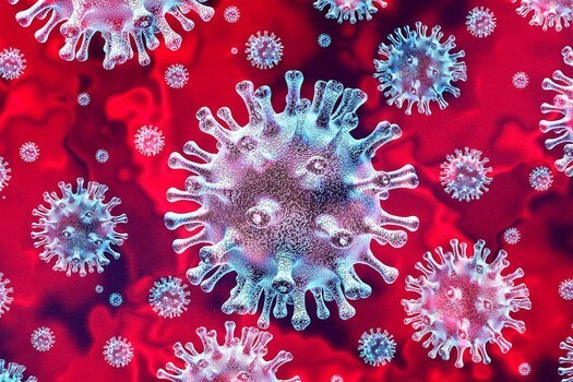Corona Virus Picture of Virus