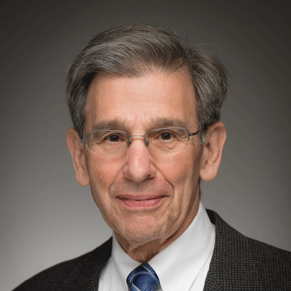 Robert A Krieg Professor Emeritus Theology