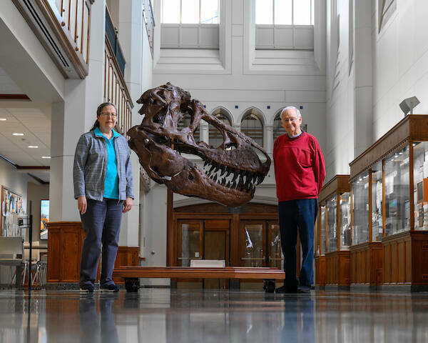 Barbara Hellenthal, left, curator, and Ron Hellenthal, director of the Museum of Biodiversity with a replica of a Tyrannosaurus Rex skull discovered in Montana by late Notre Dame Geology professor J. Keith Rigby Jr.
